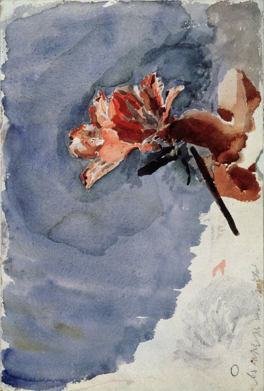 Röd Azalea, 1886-1887 av Mikhail Aleksandrovich Vrubel