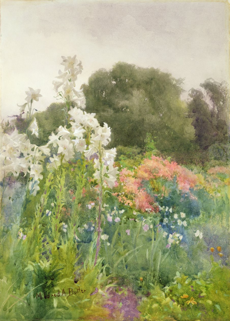 Madonna Lilies (wc på papper) av Mildred Anne Butler