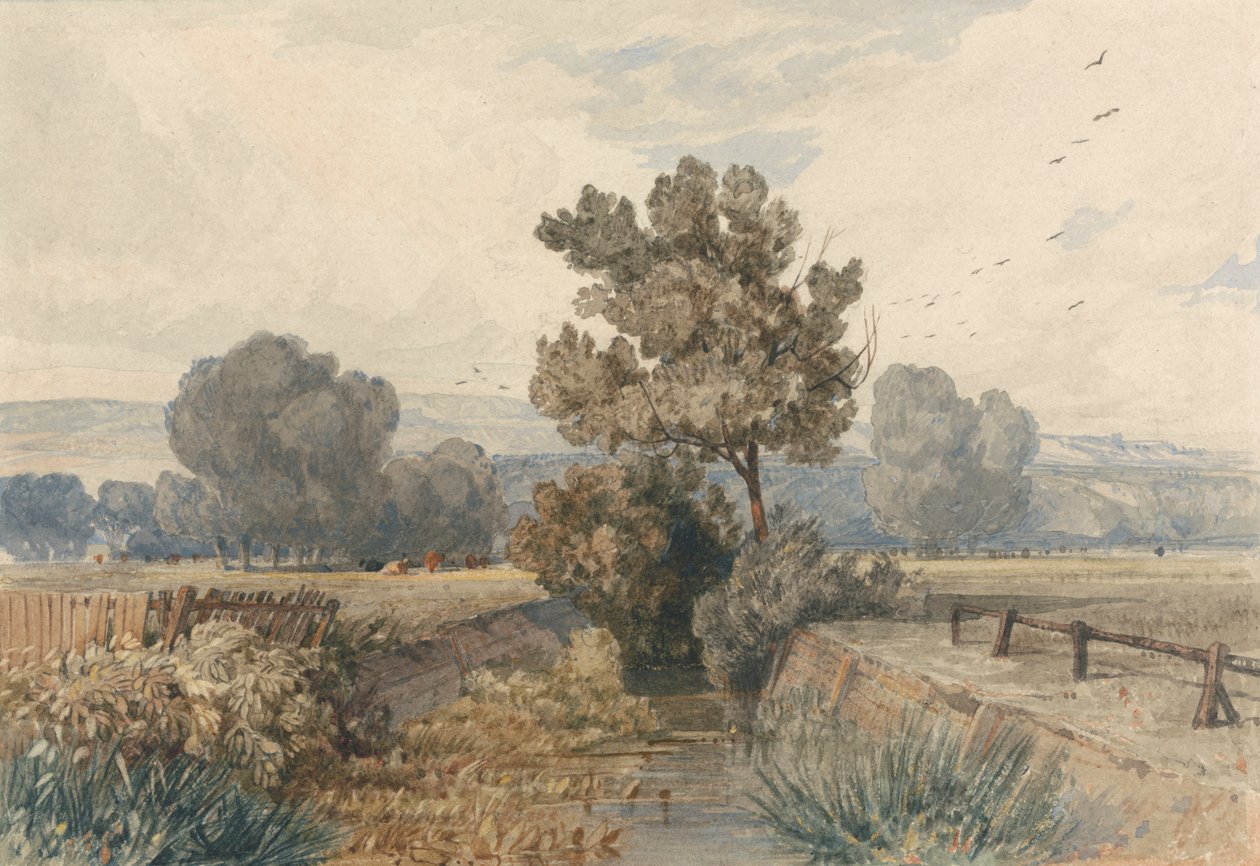 Scen i Elmham, Norfolk av Miles Edmund Cotman