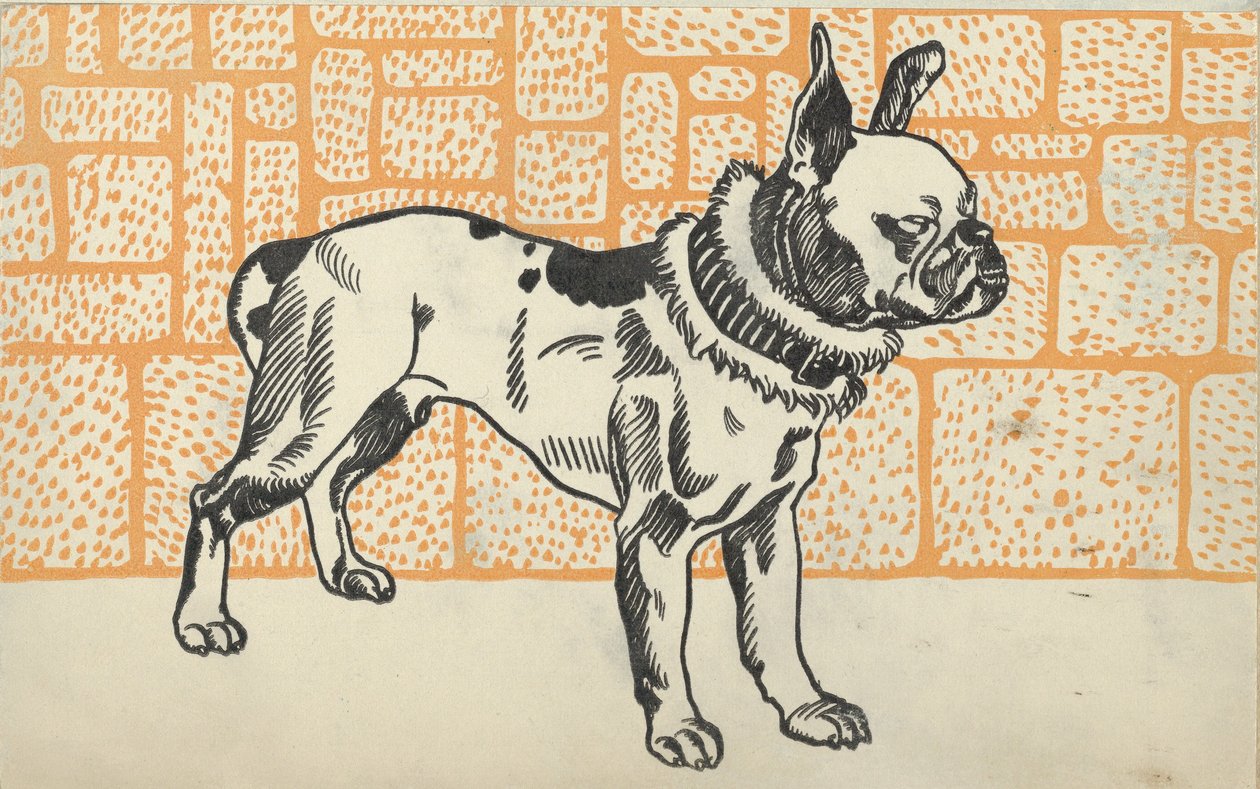 Pitbull Terrier, 1912. av Moritz Jung