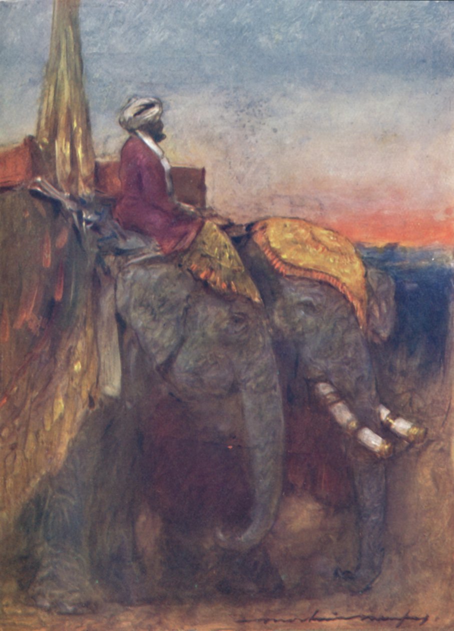"Jaipur Elephants", 1903 av Mortimer L Menpes