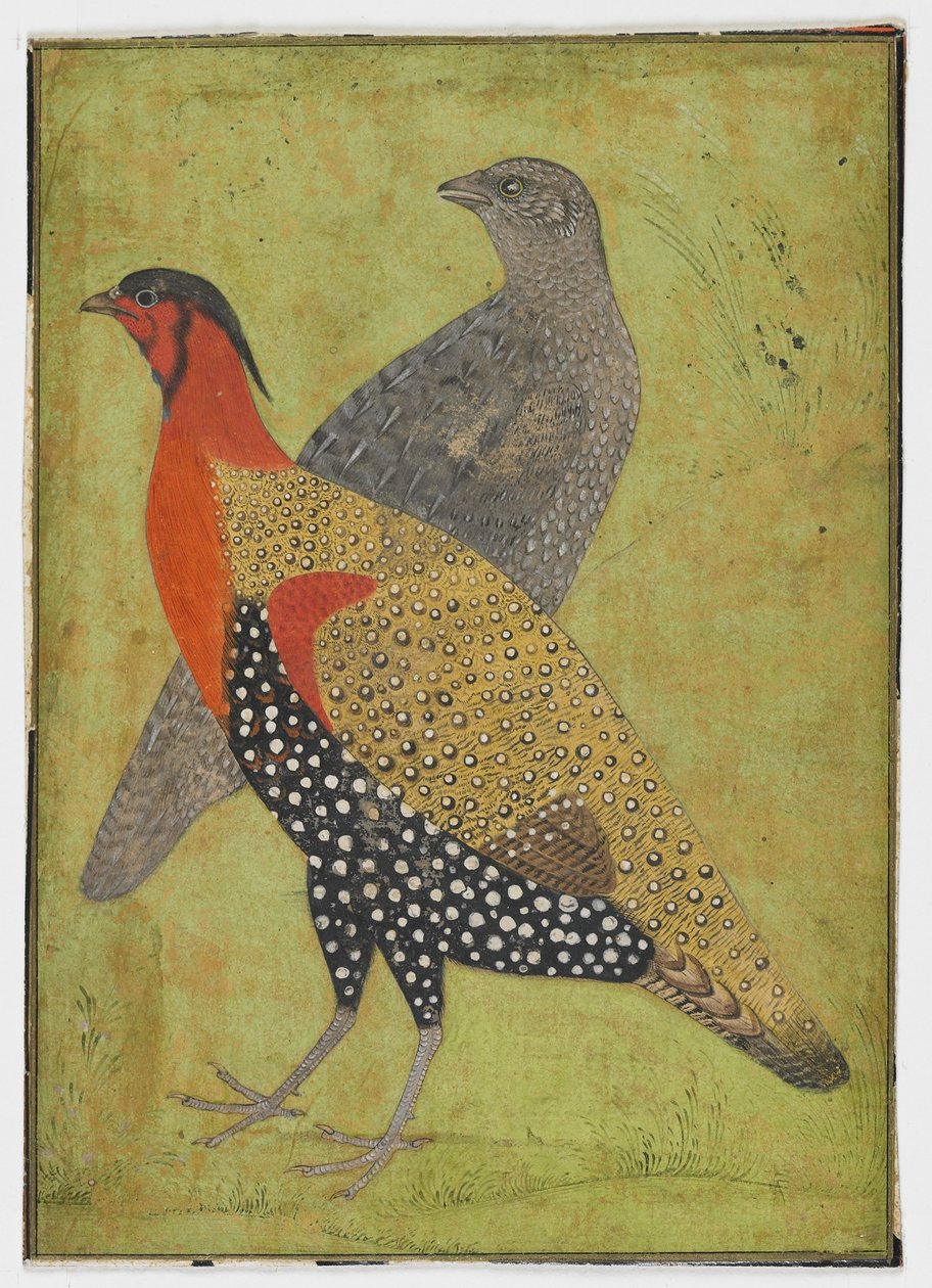 Två fasaner, Målning, tidigt 1600-tal av Mughal School
