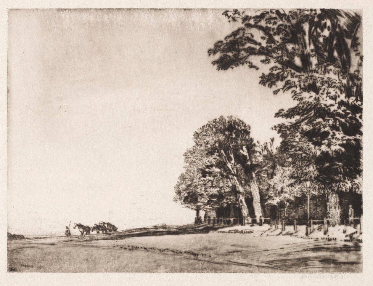 Hampstead Heath av Muirhead Bone
