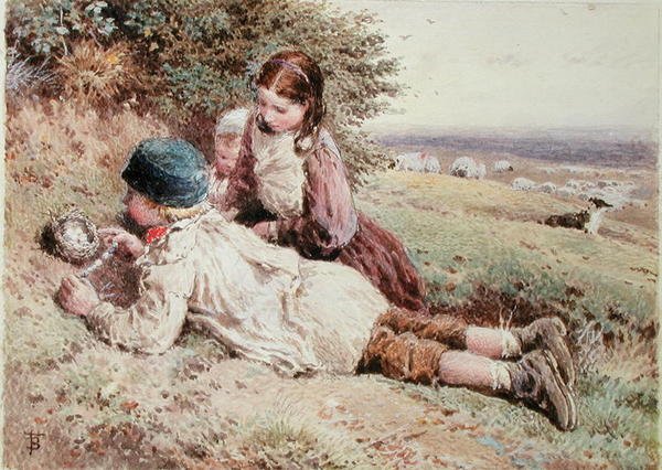 Samla fågelägg av Myles Birket Foster