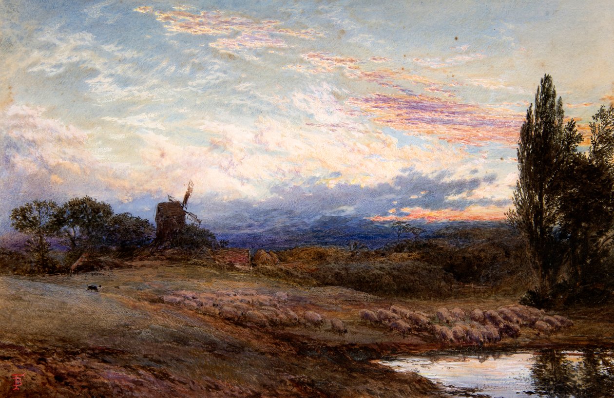 Får som vattnas vid solnedgången (akvarell) av Myles Birket Foster