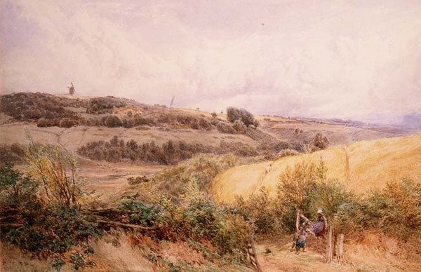 Sommarlandskap nära Haslemere, Surrey av Myles Birket Foster