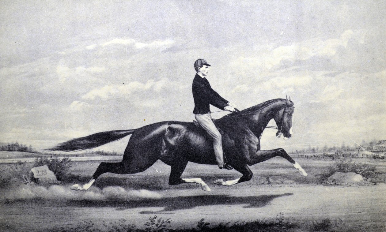 Currier & Ives Illustration 1800-talet. Den hyllade hästen Dexter The king of the Turf av N. and Ives, J.M. Currier