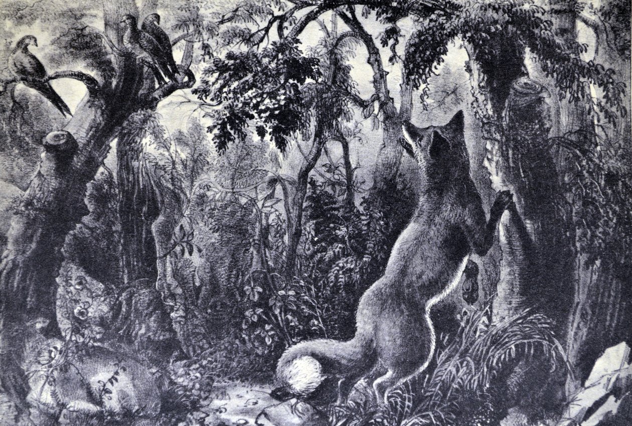 Currier & Ives Illustration 1800-talet. Den förbryllade räven av N. and Ives, J.M. Currier