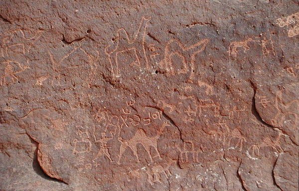 Petroglyfer från sidan av en klippa (hällmålning) av Nabatean