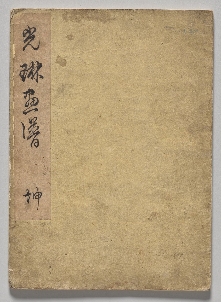The Kōrin Picture Book (Volym 1) av Nakamura Hochu