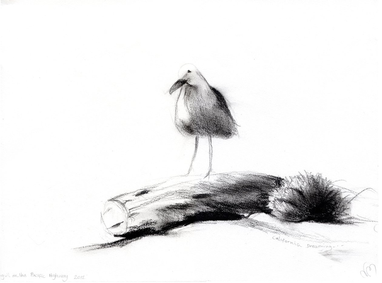 California Seagull, 2012, (kol på papper) av Nancy Moniz Charalambous