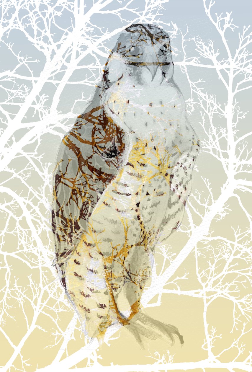 Peregrine Falcon, 2015, (bläck & gouache på kort) av Nancy Moniz Charalambous