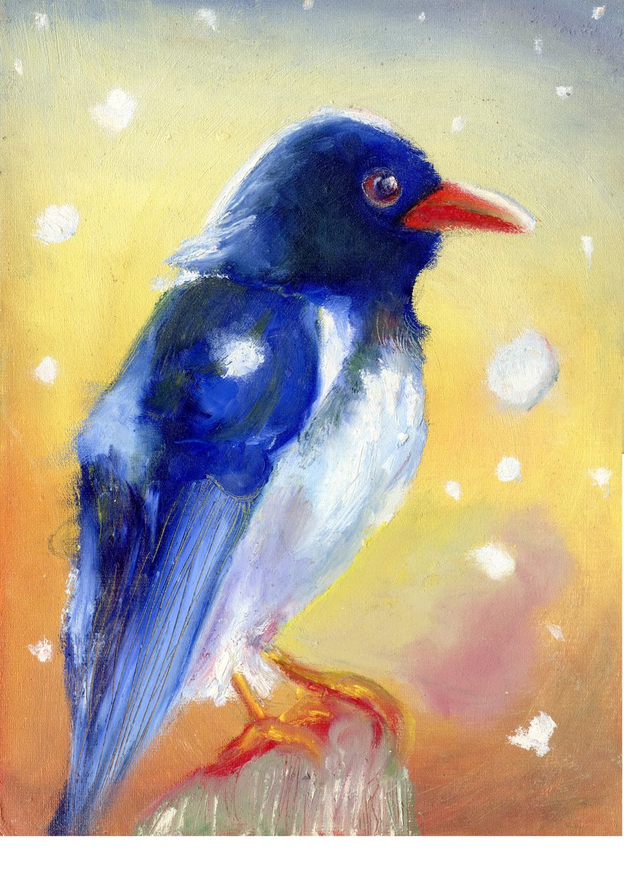 Röd näbbskata med snödroppar, 2012, av Nancy Moniz Charalambous