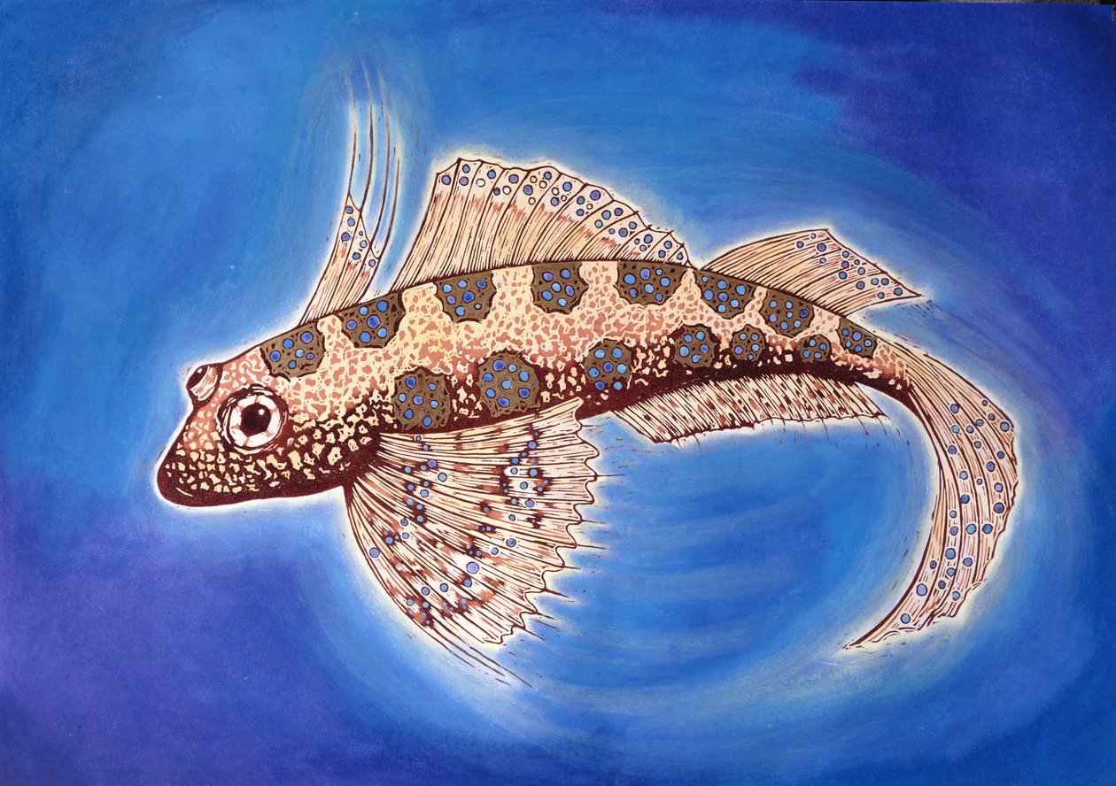 Dragonet Fish, 1999 (träsnitt och mixed media) av Nat Morley