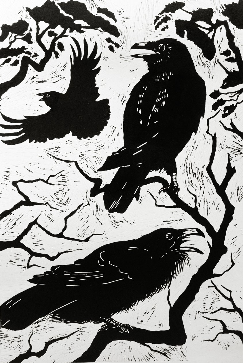 Ravens, 1998 av Nat Morley
