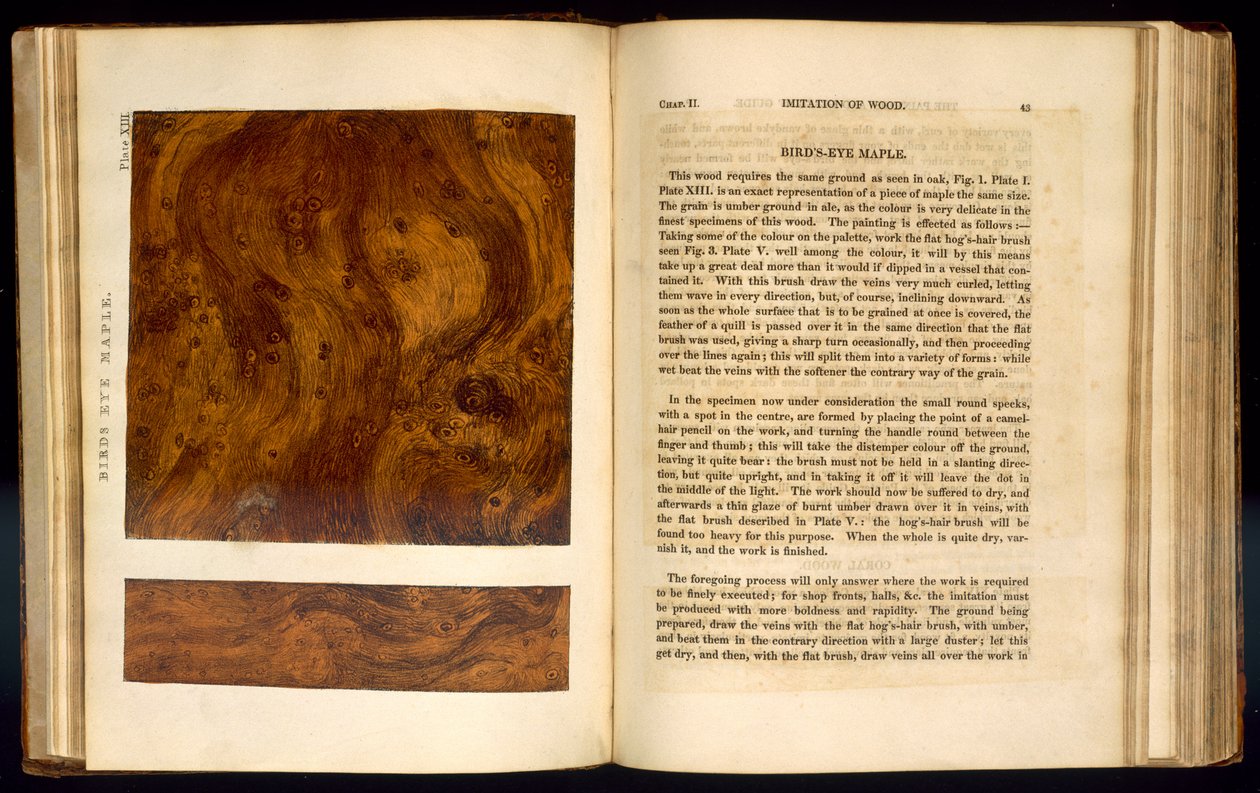 Birds Eye Maple, plåt XIII från 