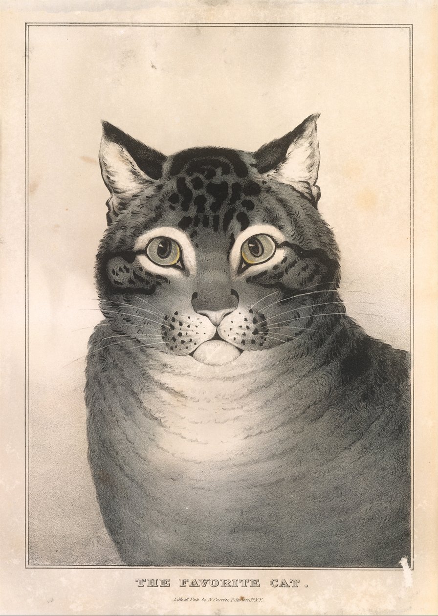 Favoritkatten, 1838-46., 1838-46. av Nathaniel Currier