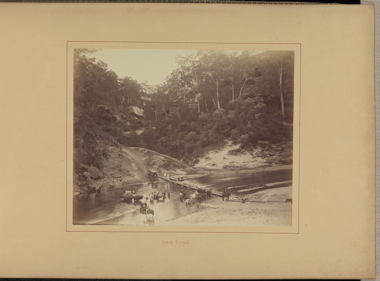 Övre Nepean av New South Wales Government Printing Office