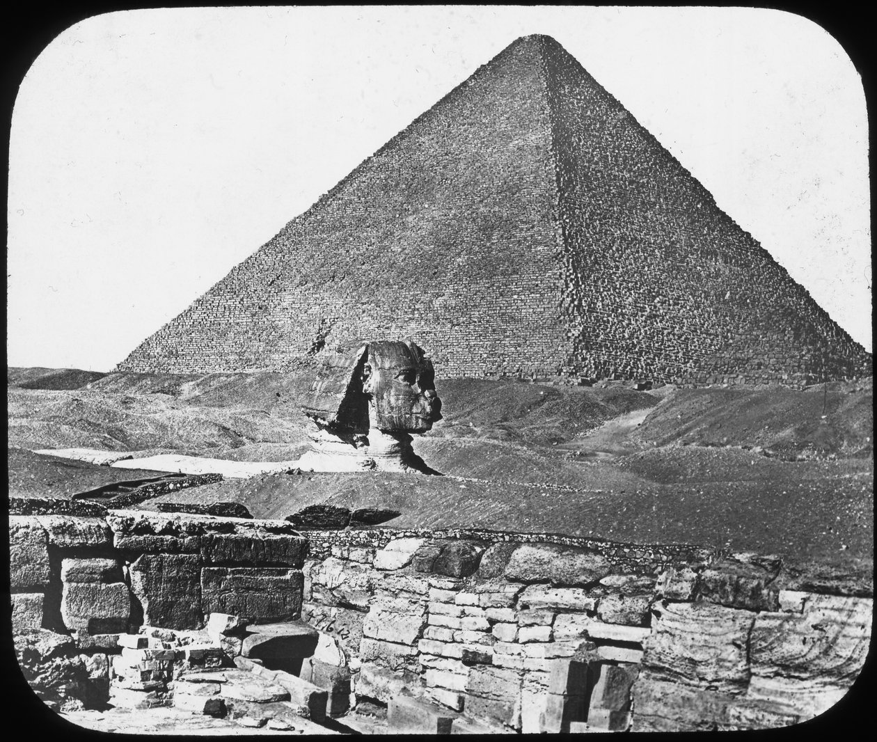 Stora sfinxen i Giza, Egypten, c1890. av Newton and Co