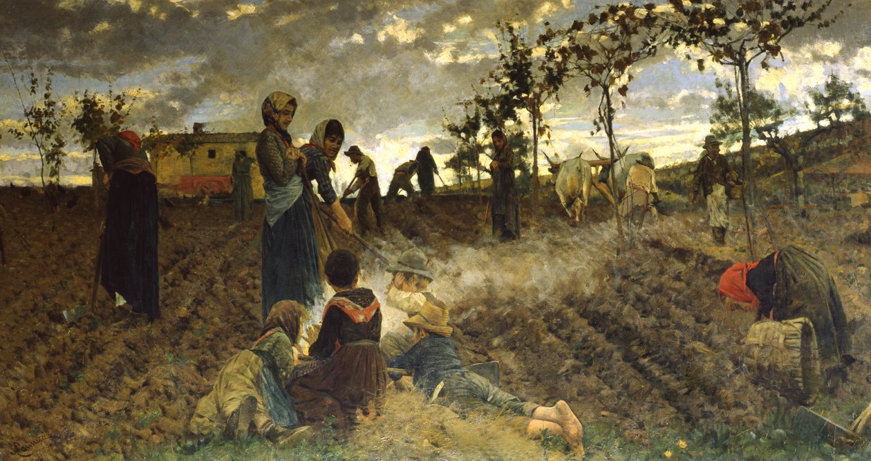 Sådd i Toscana av Niccolo Cannicci