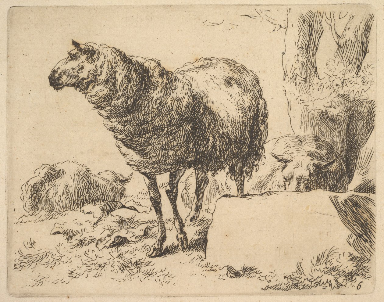 från The Set of Sheep. av Nicolaes Berchem