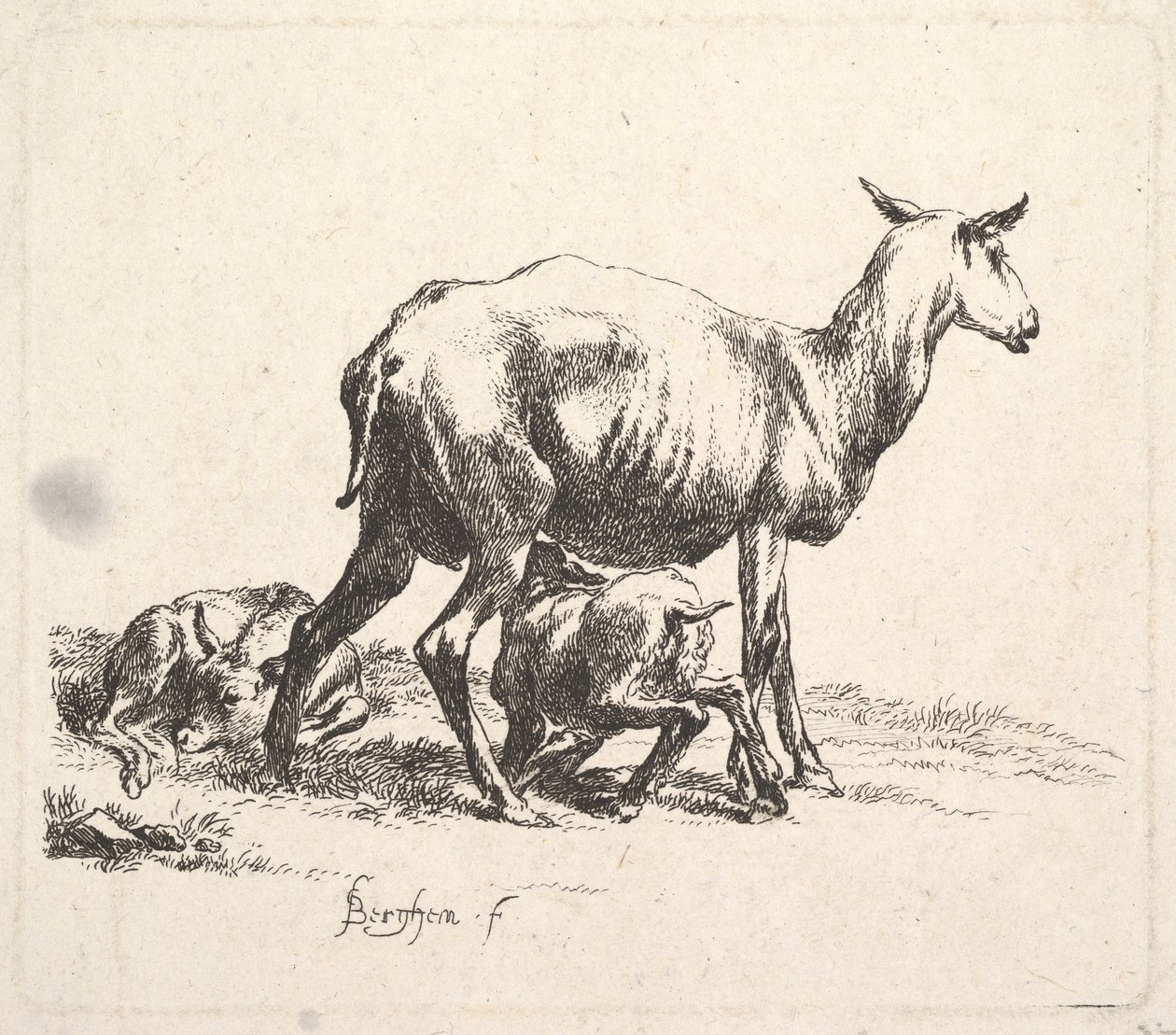 Får med lammvård. av Nicolaes Pietersz. Berchem