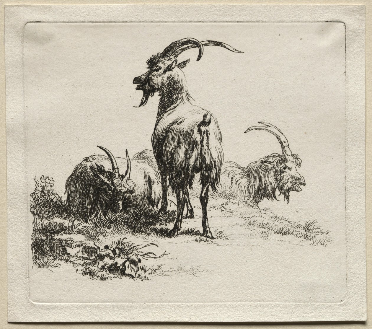 Tre getter. av Nicolaes Pietersz. Berchem