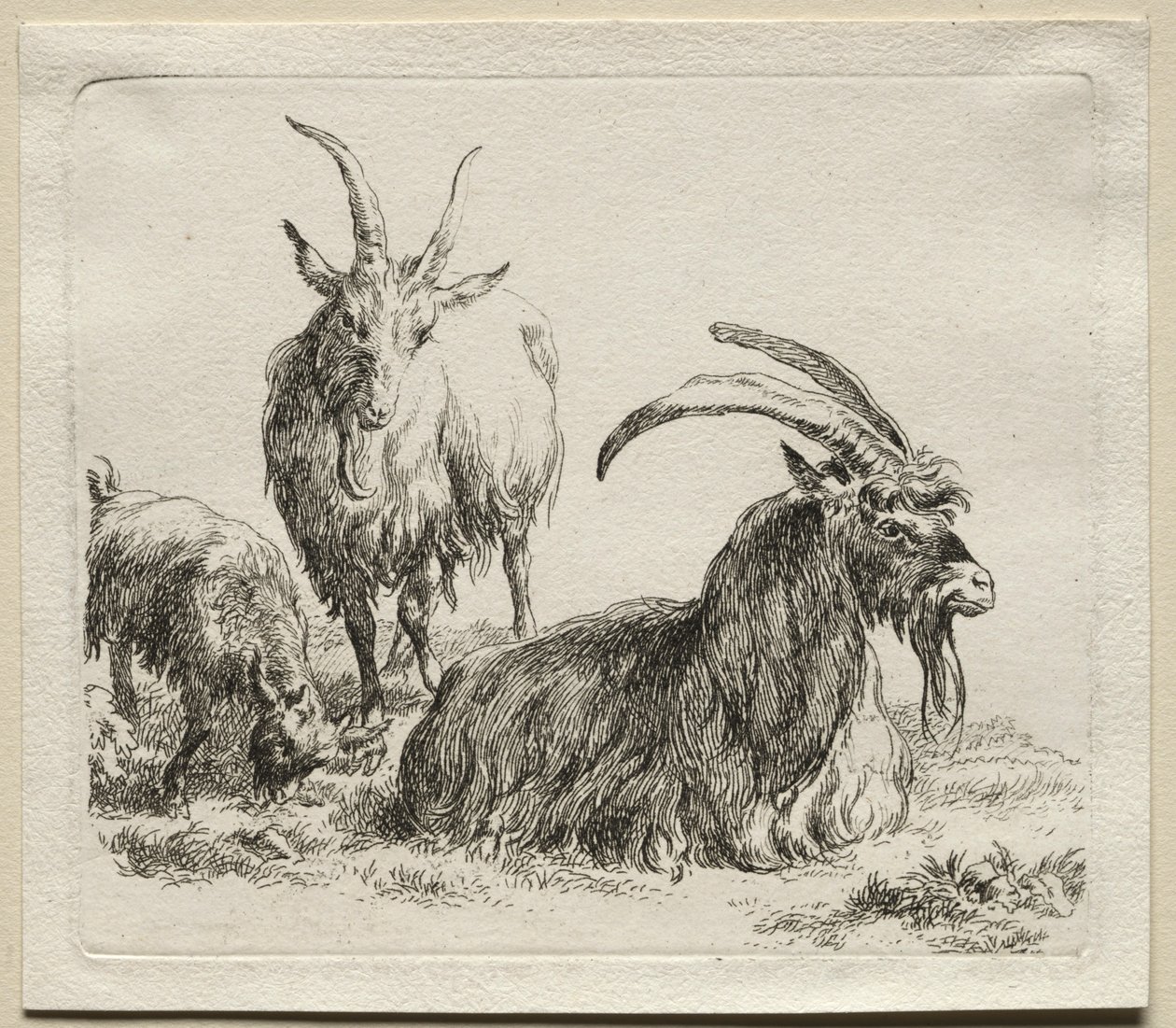 Tre getter. av Nicolaes Pietersz. Berchem