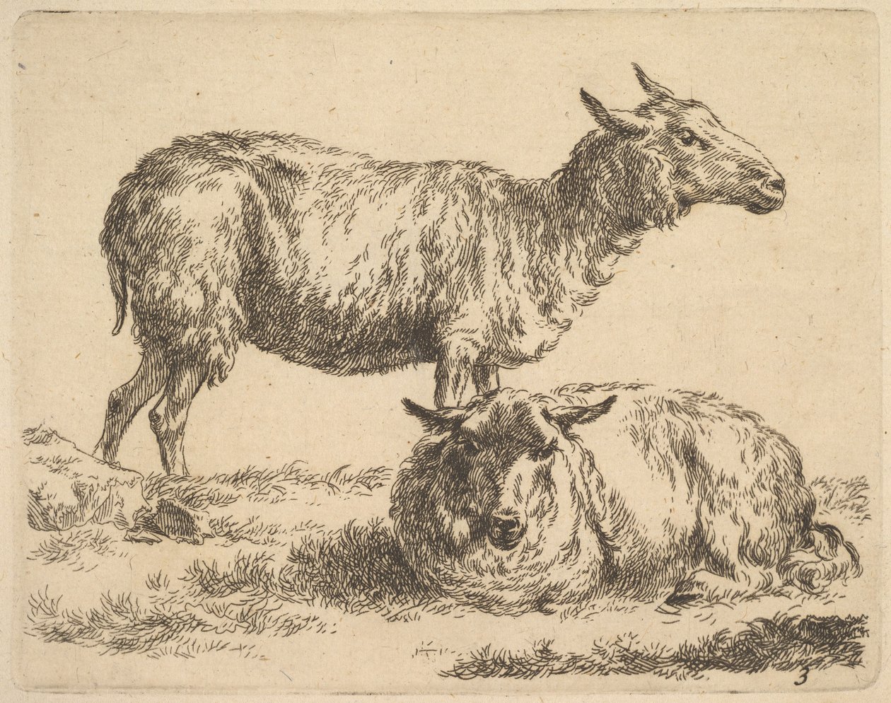 från The Set of Sheep. av Nicolaes Pietersz. Berchem