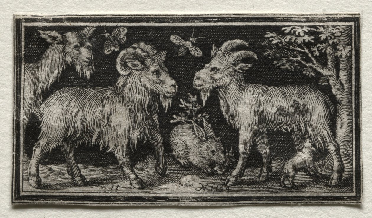 Getter och harar, 1594. av Nicolaes de Bruyn