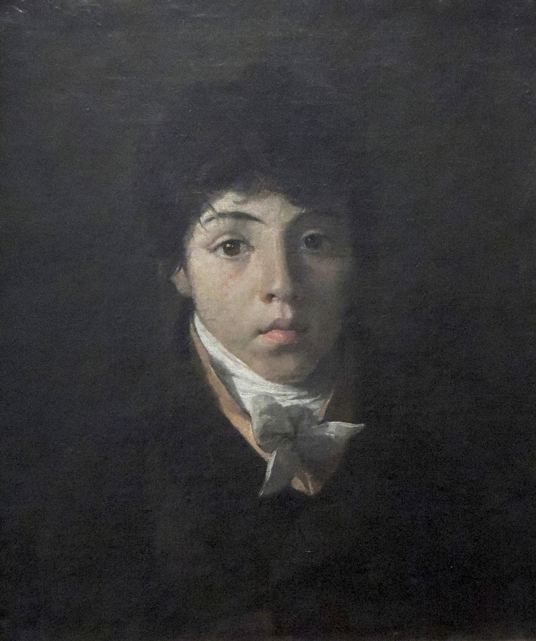 Portrait of the young Teodoro Taunay av Nicolas Antoine Taunay