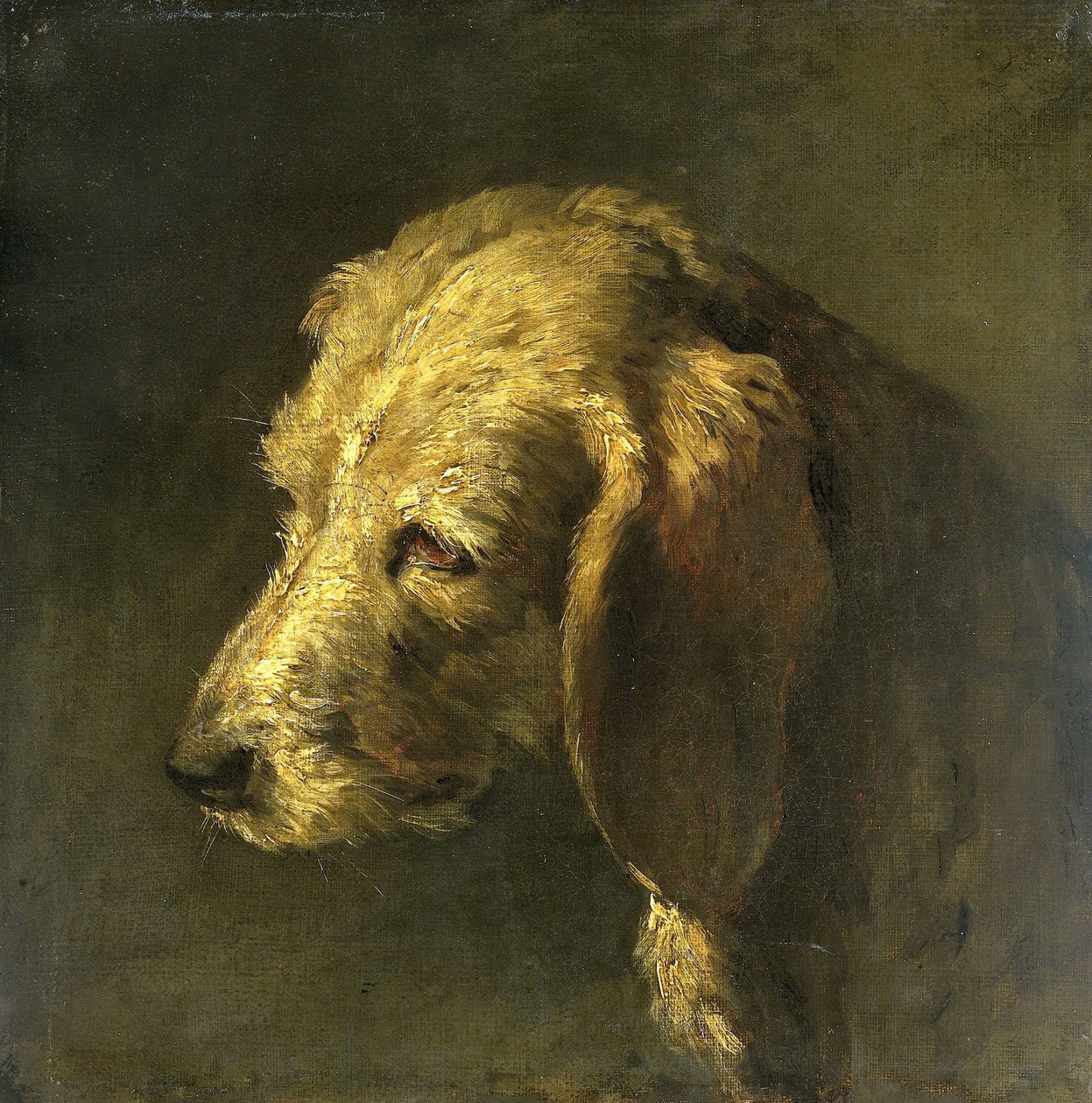 Huvud av en hund av Nicolas Toussaint Charlet (attributed to)