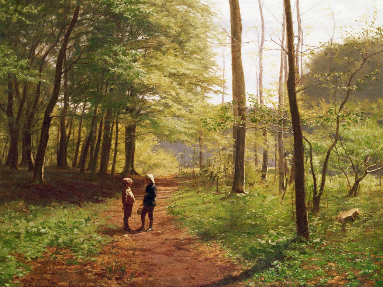 En promenad i skogen av Niels Christian Hansen