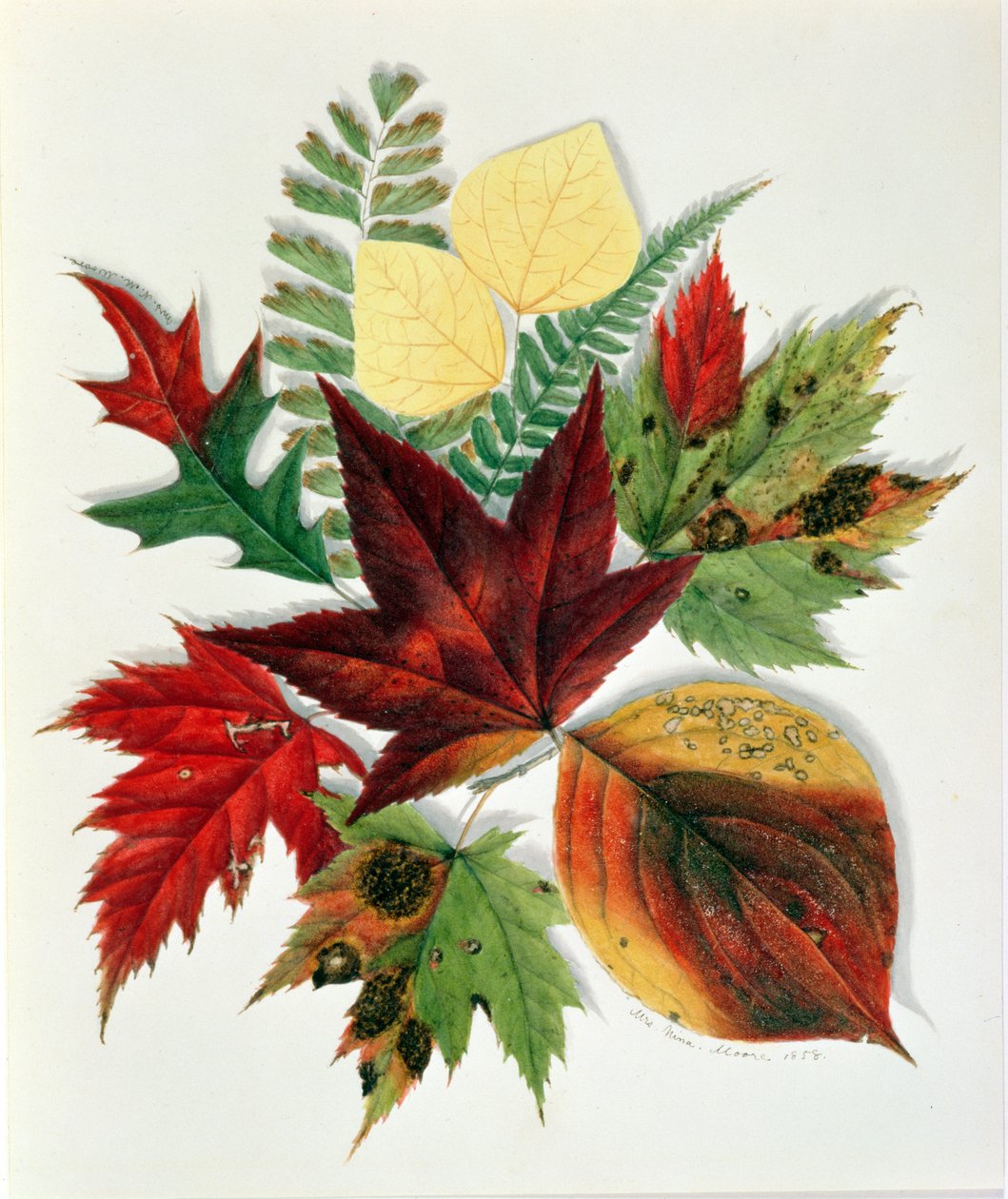 Höstlöv, 1858 (wc på papper) av Nina Moore