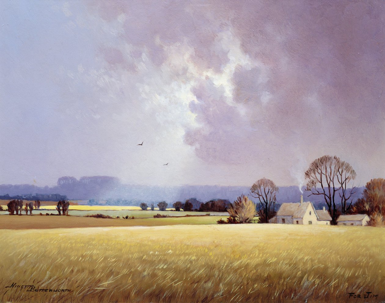 Höstsolljus, 1982 av Ninetta Butterworth