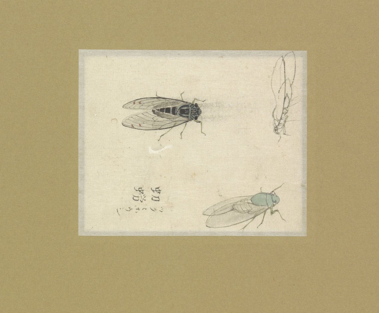 Tre studier av flugor av Nonoyama Kozan (possibly)