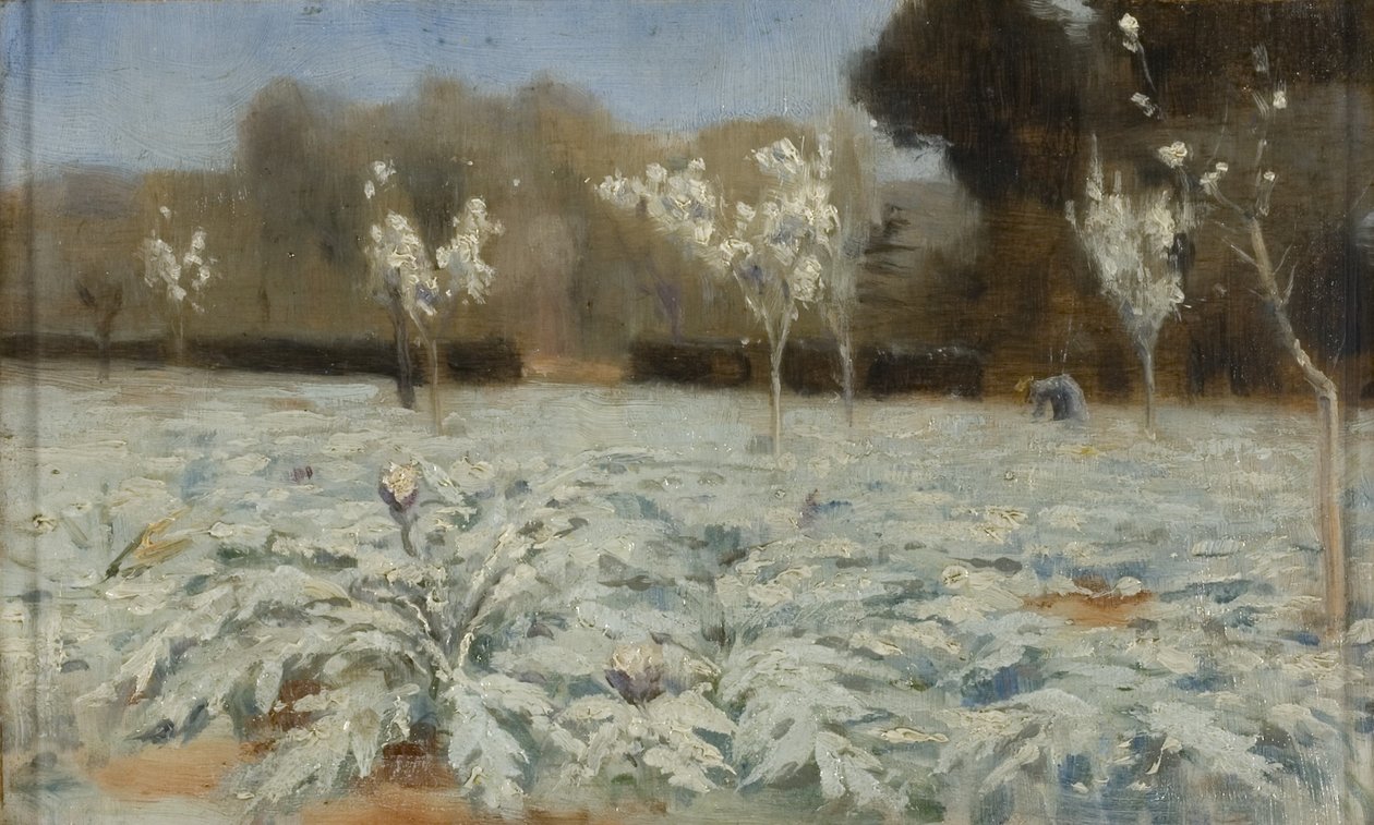 Kronärtskockor, Hyeres av Norman Garstin