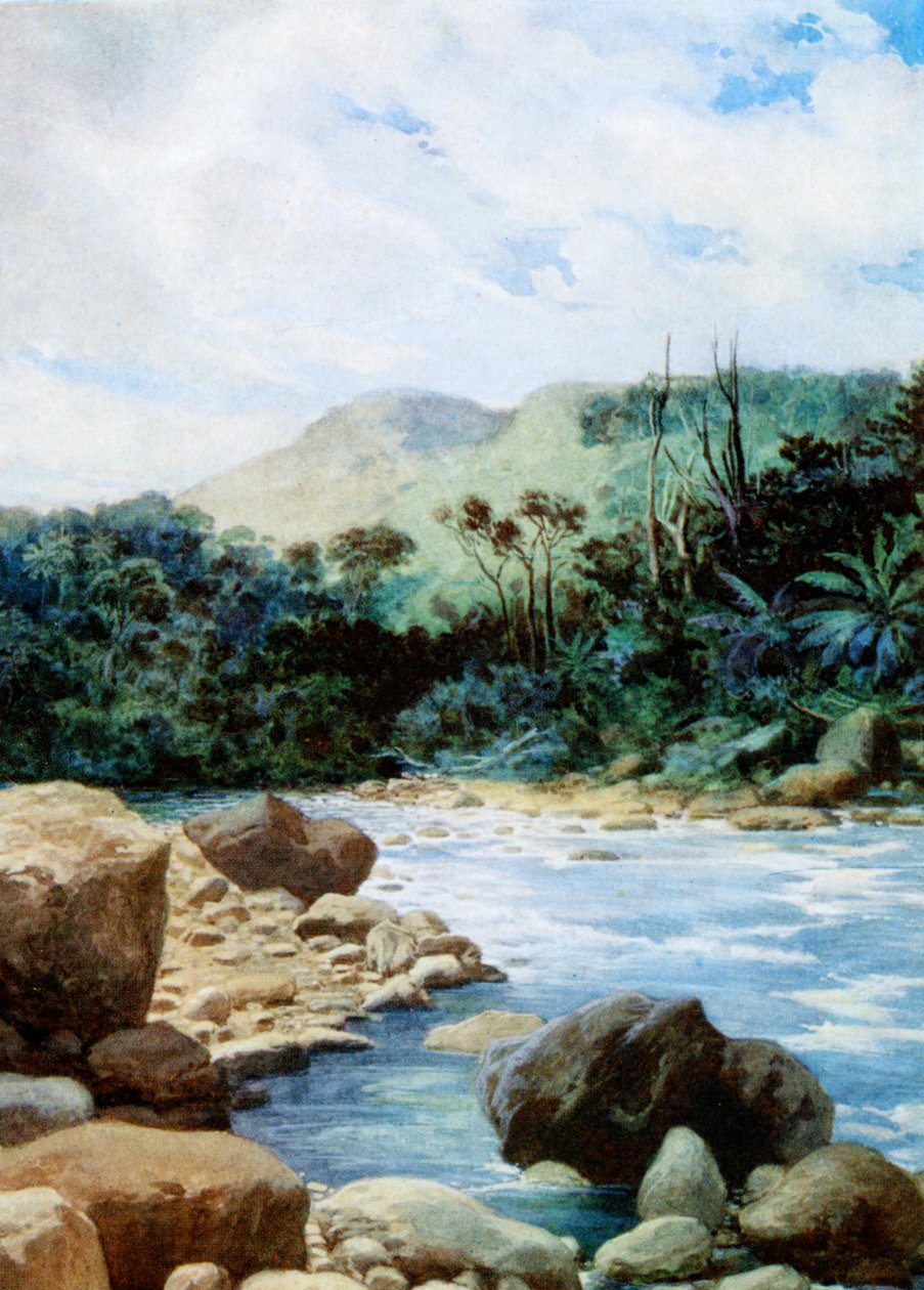 Landskap i Eromanga, Nya Hebriderna, 1908 av Norman Hardy