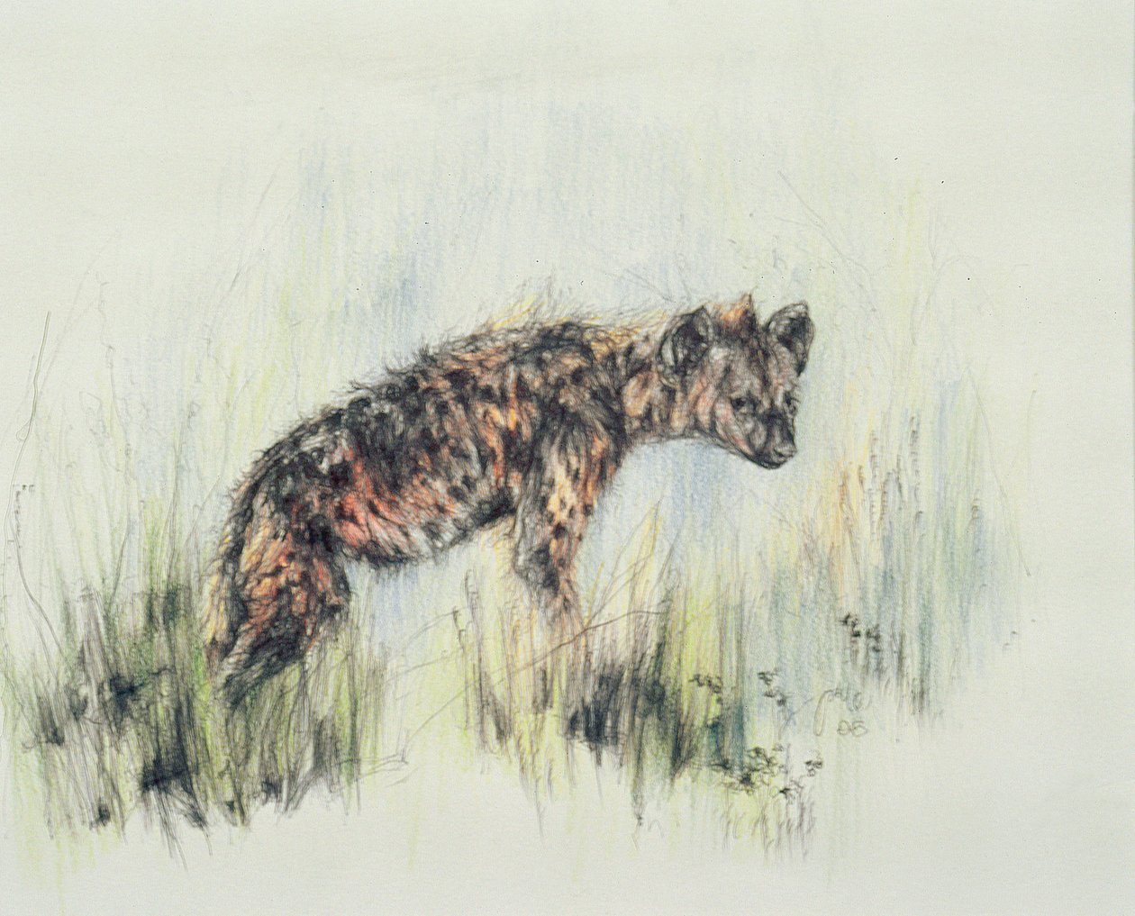 Baby Hyena av Odile Kidd