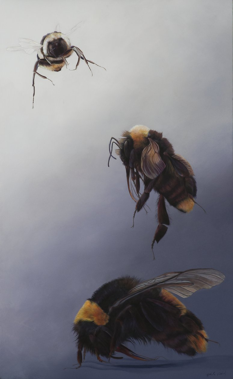 Bombus flight 2, 2011 (akryl på trä) av Odile Kidd