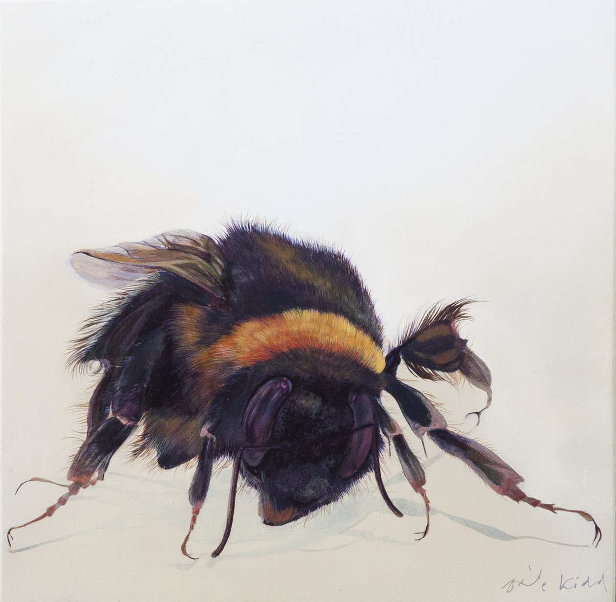 Bombus terrestris 9, 2013 (akryl på trä) av Odile Kidd