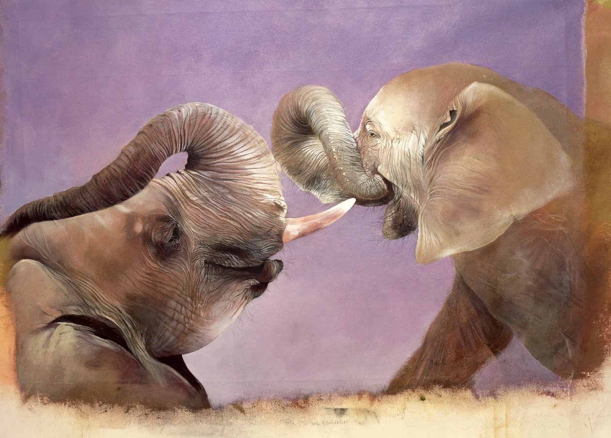 Elephants at Play, 2001 (akryl på duk) av Odile Kidd
