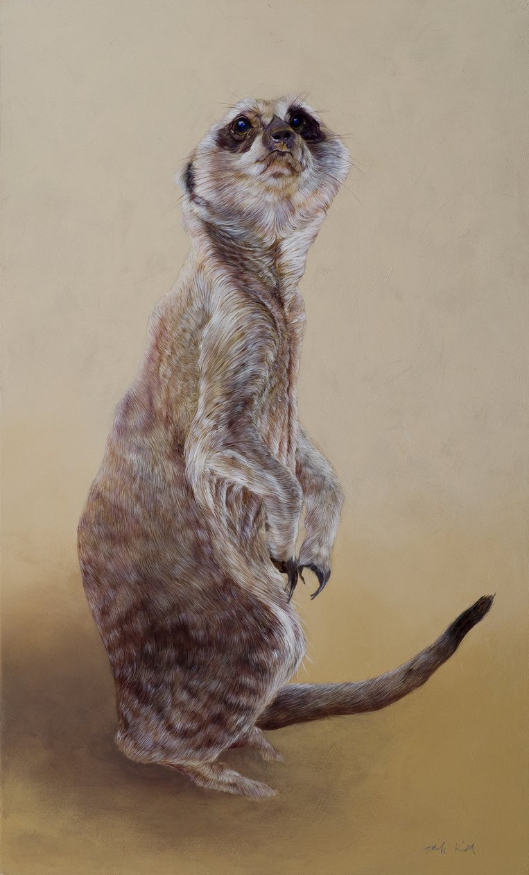 Meerkat 2, 2010 (akryl på trä) av Odile Kidd