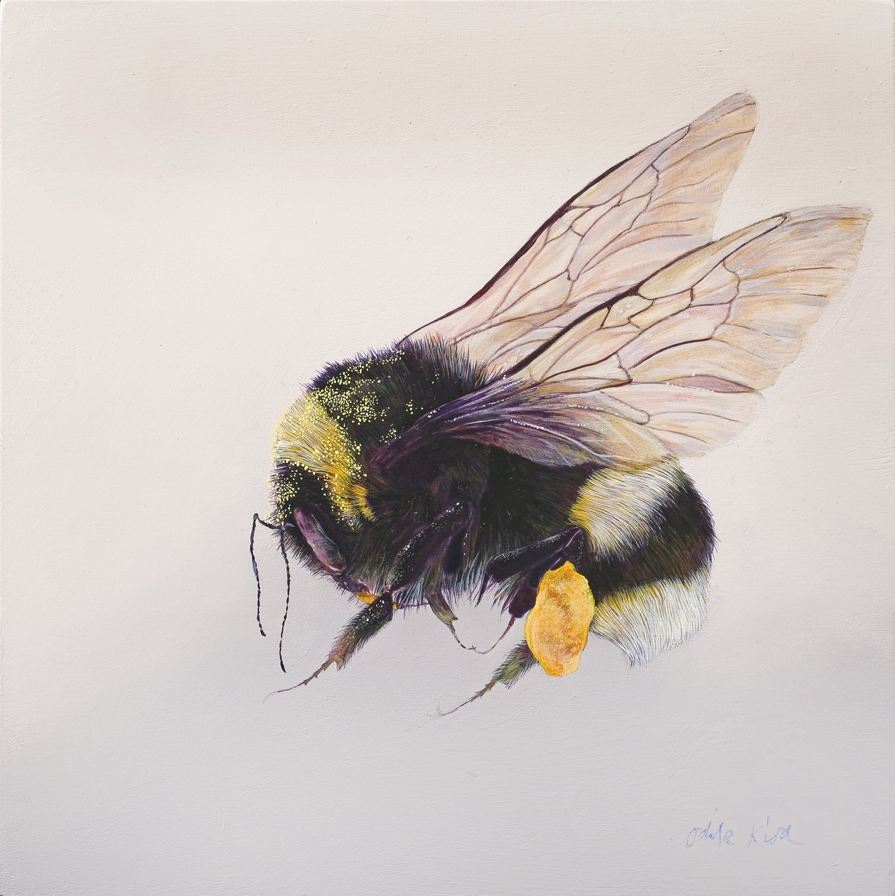 Pollen sac 2, 2011 (akryl på trä) av Odile Kidd