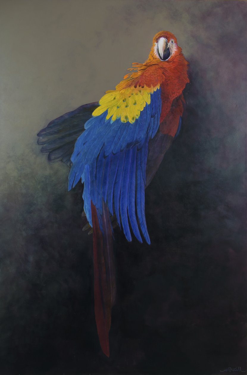 Scarlet macaw 3, 2014 (akryl på linne) av Odile Kidd