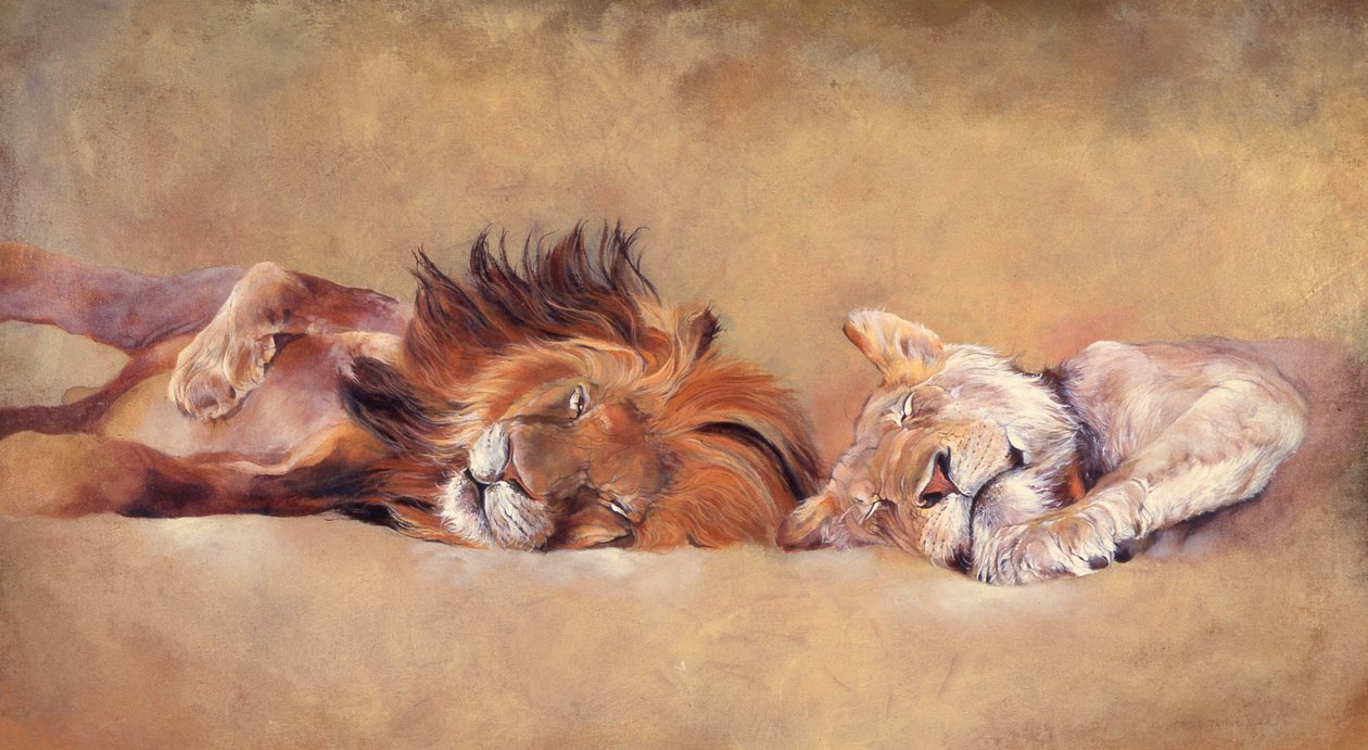 Siesta av Odile Kidd