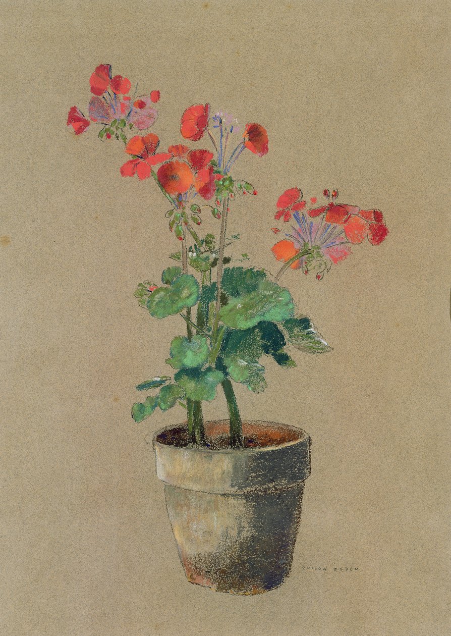 Pelargoner i kruka (pastell) av Odilon Redon