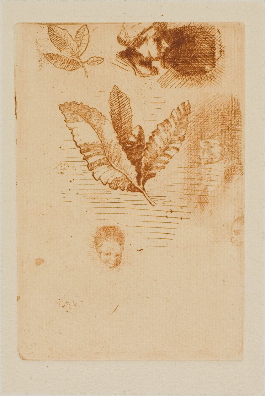 Skisser av Odilon Redon