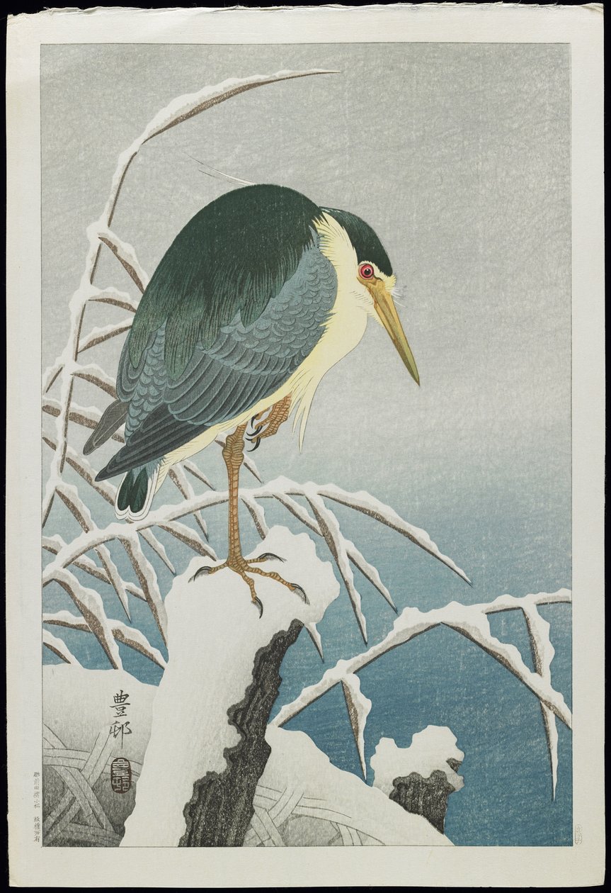 Svartkrönt natthäger i snö, 1930-tal av Ohara Koson