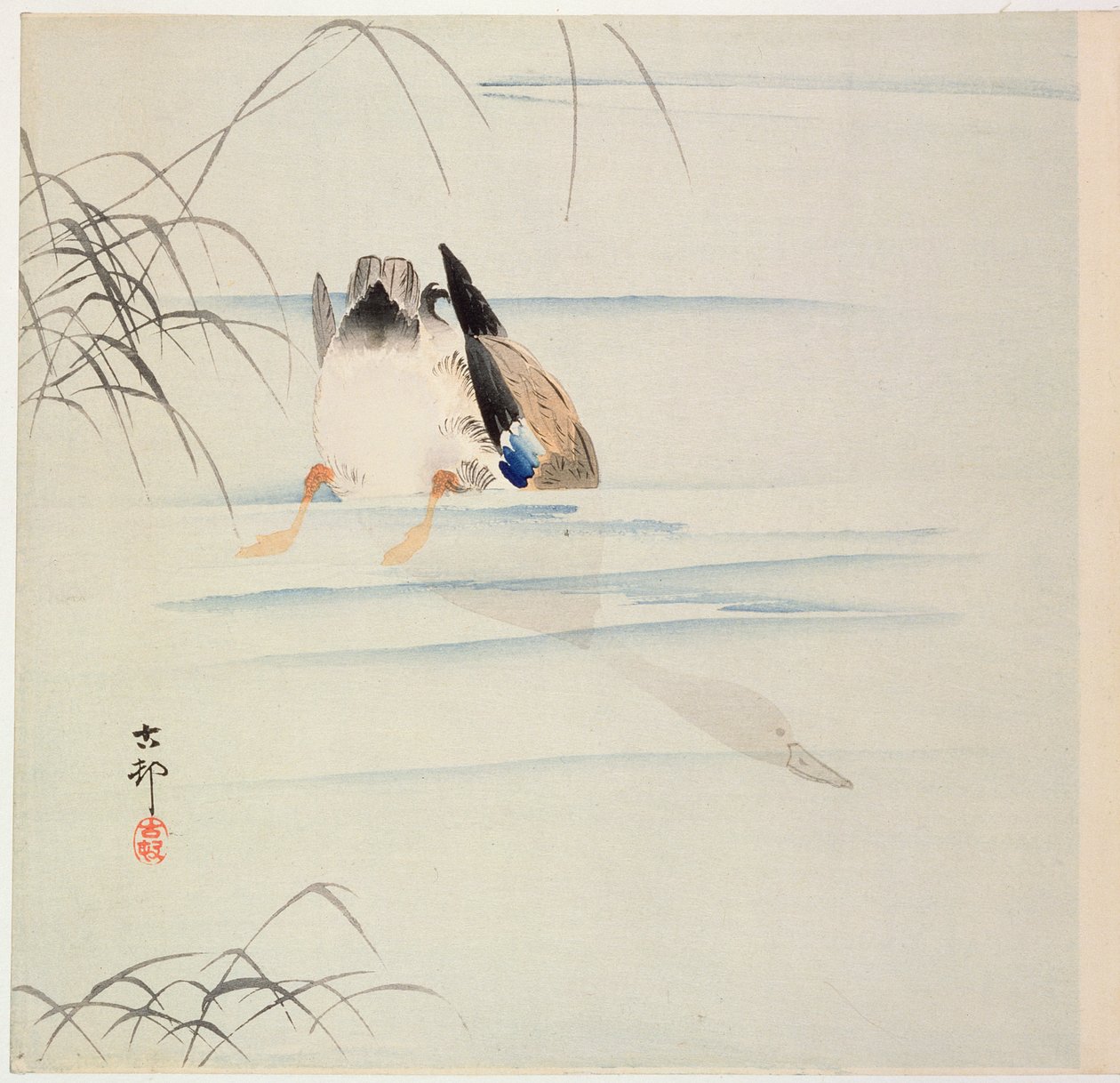 Duck Diving, c. tidigt 1900-tal (trätryck i färg) av Ohara Koson